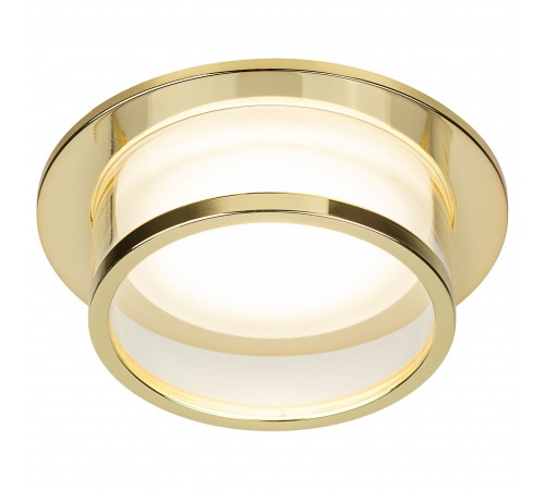 Встраиваемый светильник Эра DK99 GD