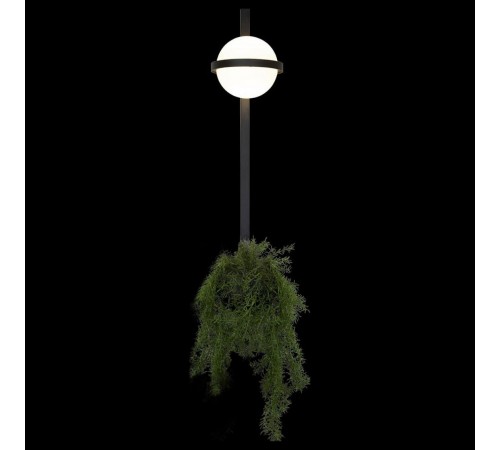 Бра Loft it 10121W/B Jardin