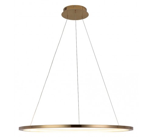 Подвесной светильник Loft it 10014L Ring