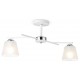 Светильник на штанге Ambrella Light TR303201 TR