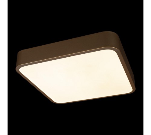 Накладной светильник Loft it 10228/C Flims