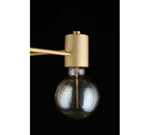 Потолочная люстра Aployt APL.911.07.05 Elison