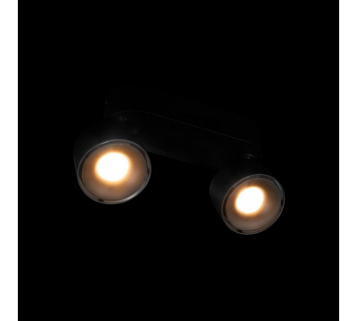 Спот Loft it 10323/2A Black Focus