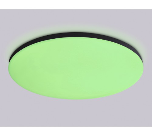 Накладной светильник Ambrella Light FZ2006 FZ