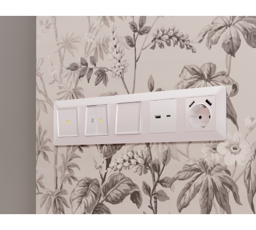 Клавиша для выключателя одноклавишного Quant AP2010