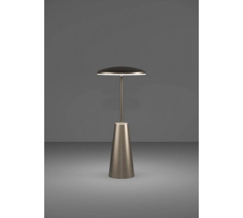 Настольная лампа декоративная Eglo 900924 PICCOLA