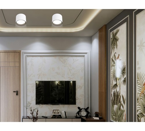 Накладной светильник Ambrella Light TN5303 TN