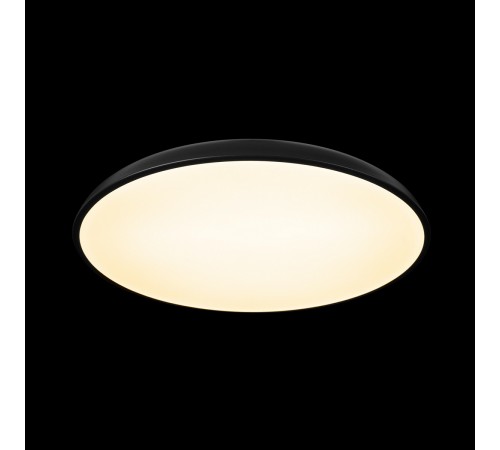 Накладной светильник Loft it 10371 Black Dime