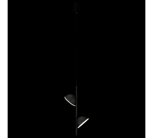 Подвесной светильник Loft it 10335 Black Mons