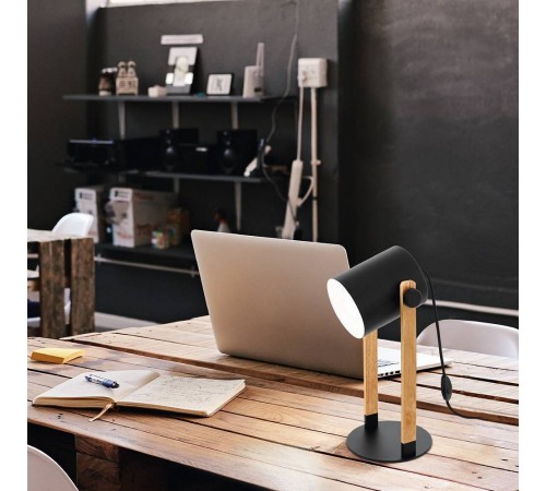 Настольная лампа декоративная Eglo 43519 HORNWOOD