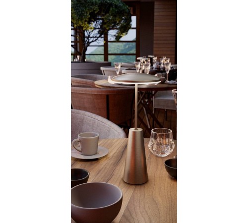 Настольная лампа декоративная Eglo 900924 PICCOLA