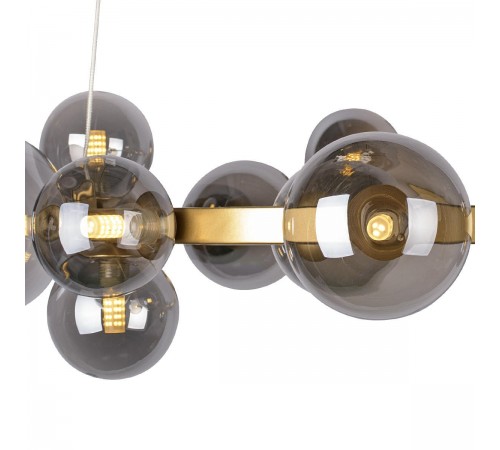 Подвесная люстра Loft it 10139/850 Molecule