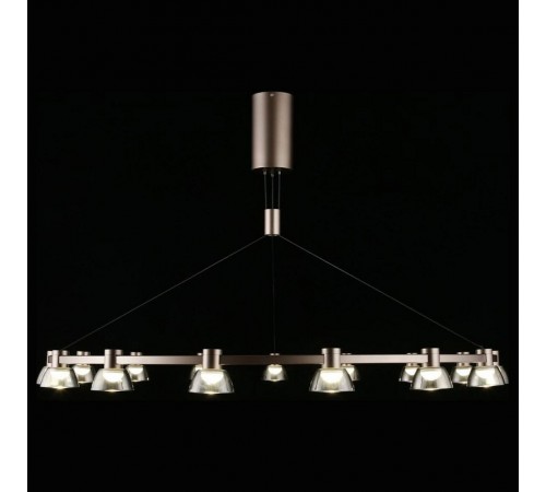 Подвесная люстра Aployt APL.788.03.15 Rezeda