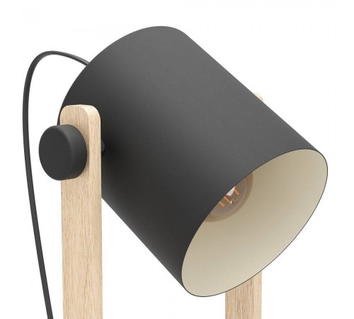 Торшер Eglo 43521 HORNWOOD