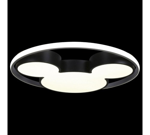 Накладной светильник Loft it 10166 Mike