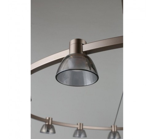 Подвесная люстра Aployt APL.788.03.15 Rezeda