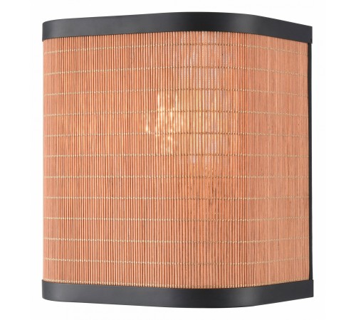 Накладной светильник Velante 568-701-01 568