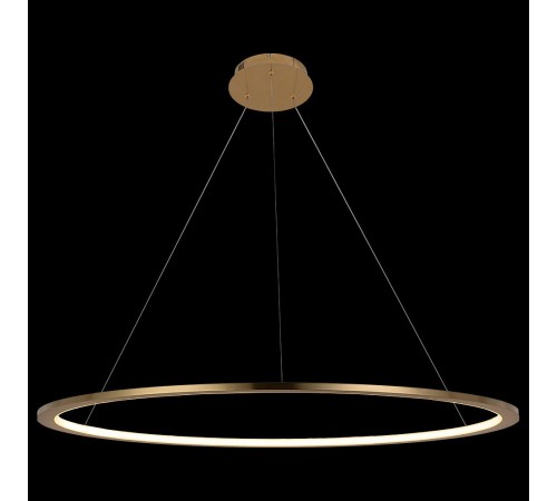 Подвесной светильник Loft it 10014L Ring