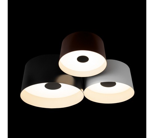 Потолочная люстра Loft it 10360/3 Duo