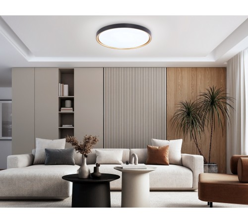 Накладной светильник Ambrella Light FZ1249 FZ