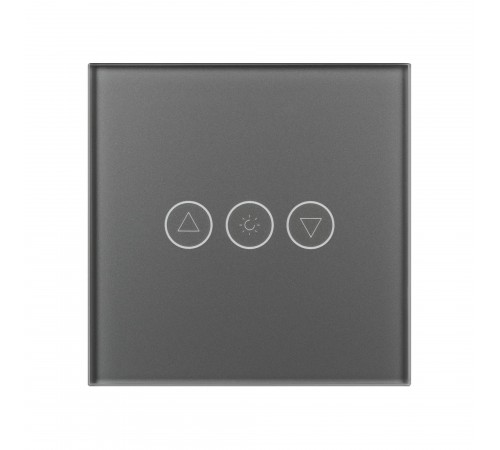 Панель-диммер сенсорный встраиваемый Arlight 50063 OMALI