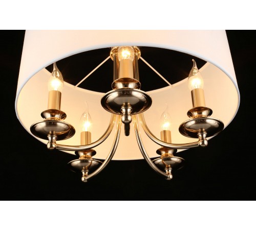 Подвесной светильник Aployt APL.721.06.05 Berze