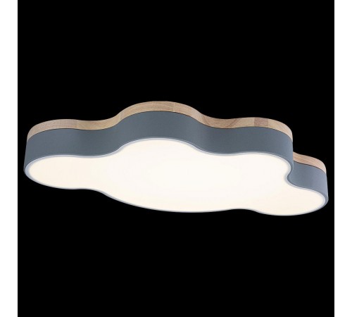 Накладной светильник Loft it 10005/36 Grey Axel 4