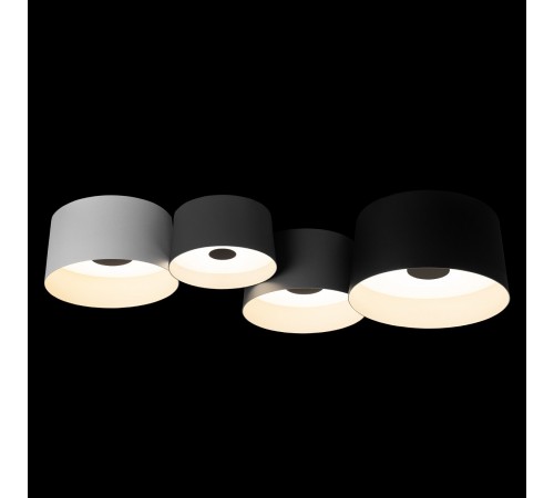 Потолочная люстра Loft it 10360/4 Duo