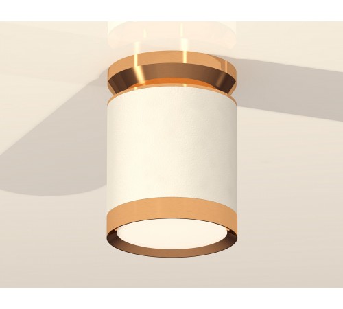 Накладной светильник Ambrella Light XS8141030 XS