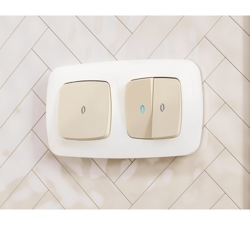 Клавиши для выключателя двухклавишного c подсветкой Quant OP3240