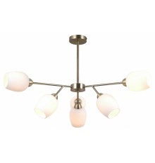 Люстра на штанге Moderli V10820-6C Cassy