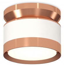 Накладной светильник Ambrella Light XS8101065 XS