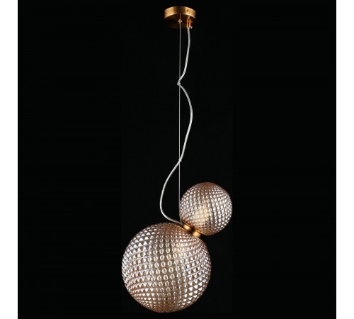 Подвесной светильник Aployt APL.301.16.02 Patunia