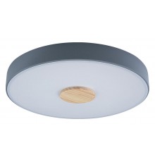 Накладной светильник Loft it 10003/24 Grey Axel 2