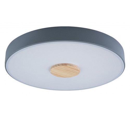 Накладной светильник Loft it 10003/24 Grey Axel 2