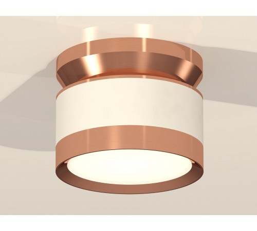 Накладной светильник Ambrella Light XS8101065 XS