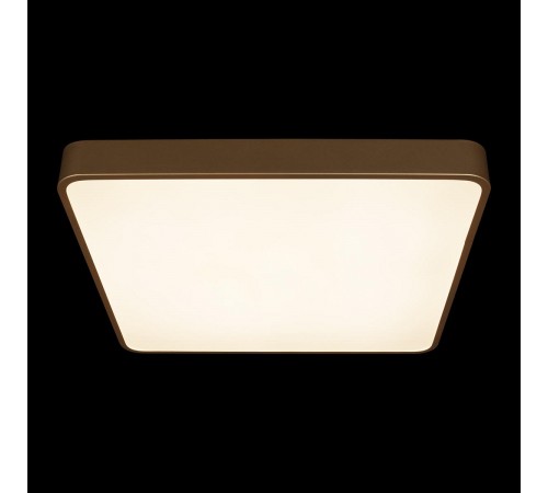 Накладной светильник Loft it 10228/D Flims