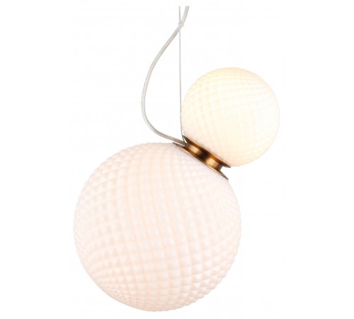 Подвесной светильник Aployt APL.301.06.02 Patunia