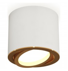 Накладной светильник Ambrella Light XS7401004 XS