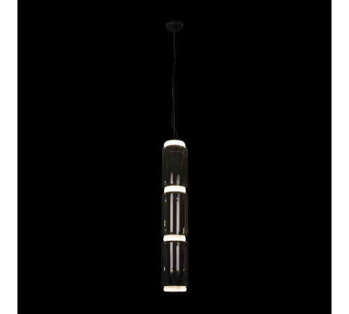 Подвесной светильник Loft it 10194/L Noctambule