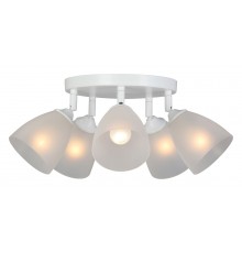 Потолочная люстра Vitaluce V4355-0/5PL V4355