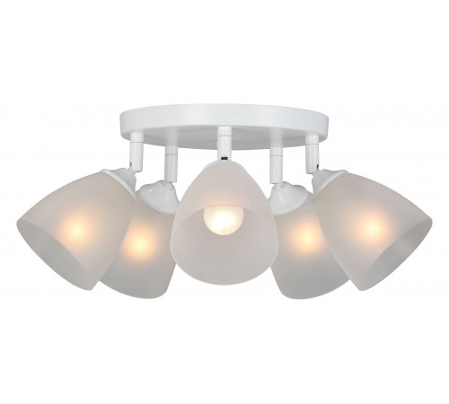 Потолочная люстра Vitaluce V4355-0/5PL V4355