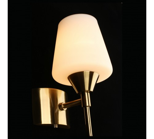 Бра Aployt APL.840.01.01 Lyus