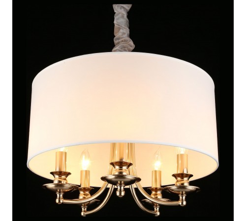 Подвесной светильник Aployt APL.721.06.05 Berze