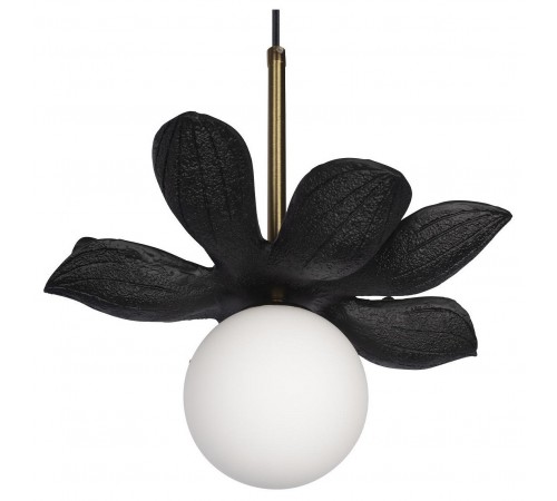 Подвесной светильник Loft it 10213/B Black Monro