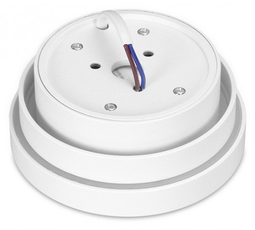 Накладной светильник Ambrella Light TN601 TN