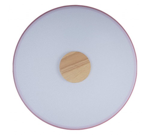 Накладной светильник Loft it 10003/24 Pink Axel 2