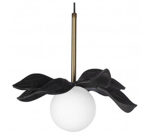 Подвесной светильник Loft it 10213/A Black Monro