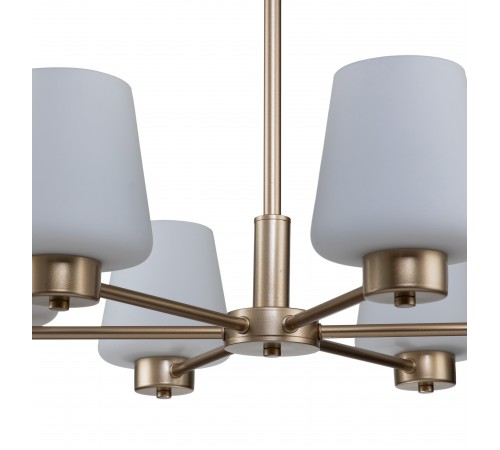 Подвесная люстра Indigo 13004/6P Gold Tulip