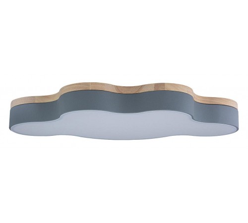 Накладной светильник Loft it 10005/36 Grey Axel 4